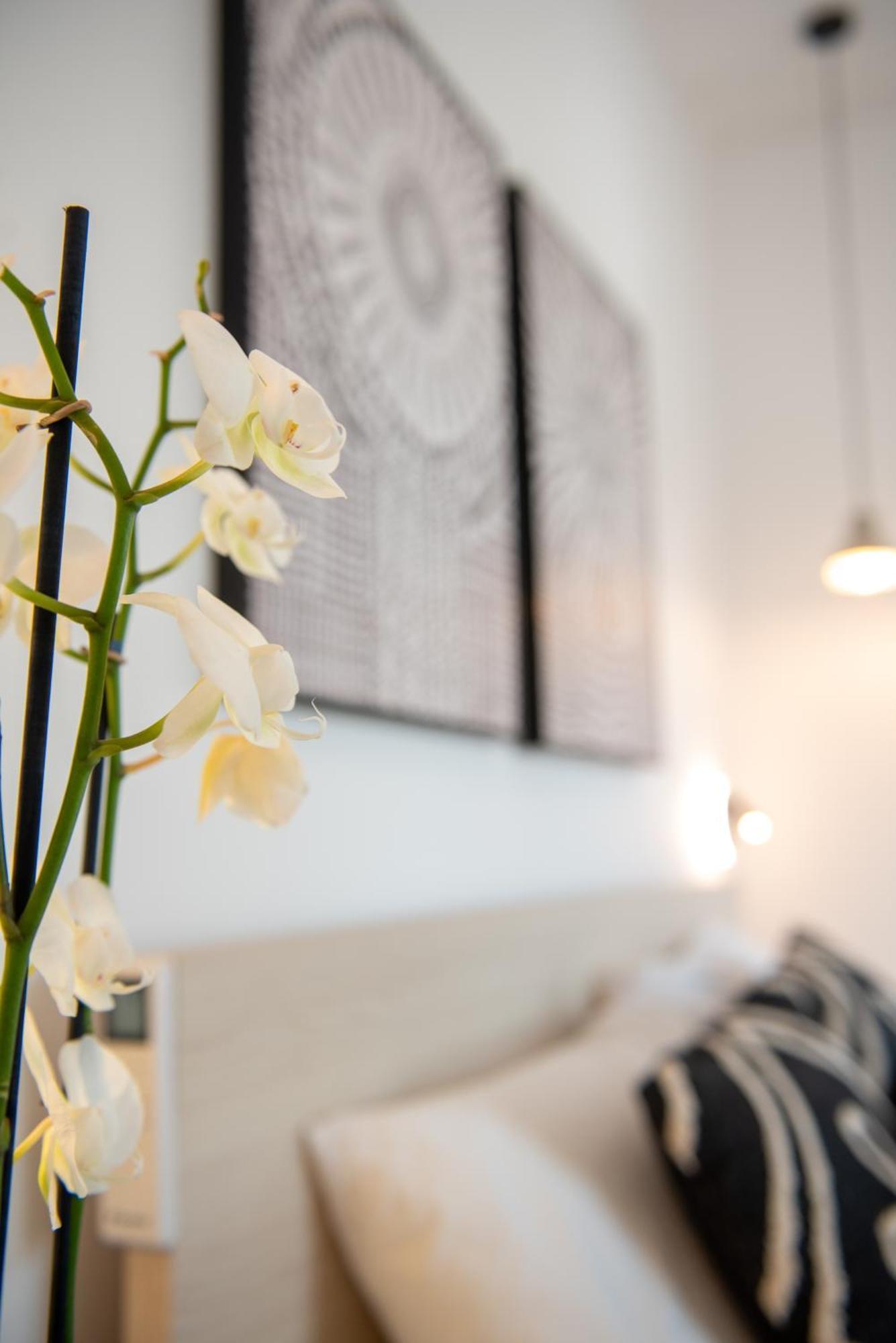 Tiffanys Villas Mykonos Town Dış mekan fotoğraf